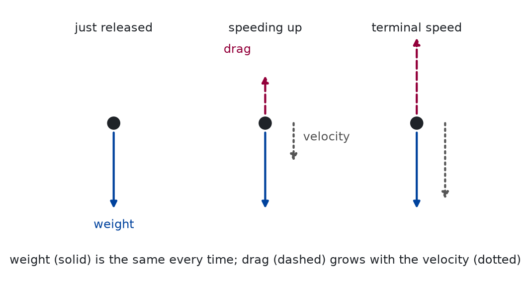 Sketch of the same falling particle at three moments, from left to right: just released, speeding up, and at terminal speed. A solid arrow for the weight points down and has the same length each time. A dashed arrow for the drag points up and is absent at release, medium in the middle, and as long as the weight on the right. A dotted arrow for the velocity points down and grows in the same way as the drag.